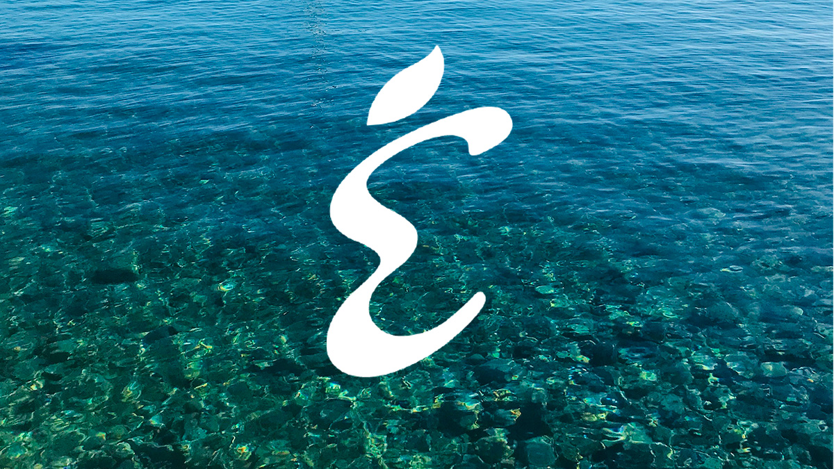 etincelle-logo-home etincelle-logo-home